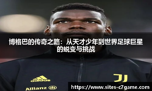 c7娱乐